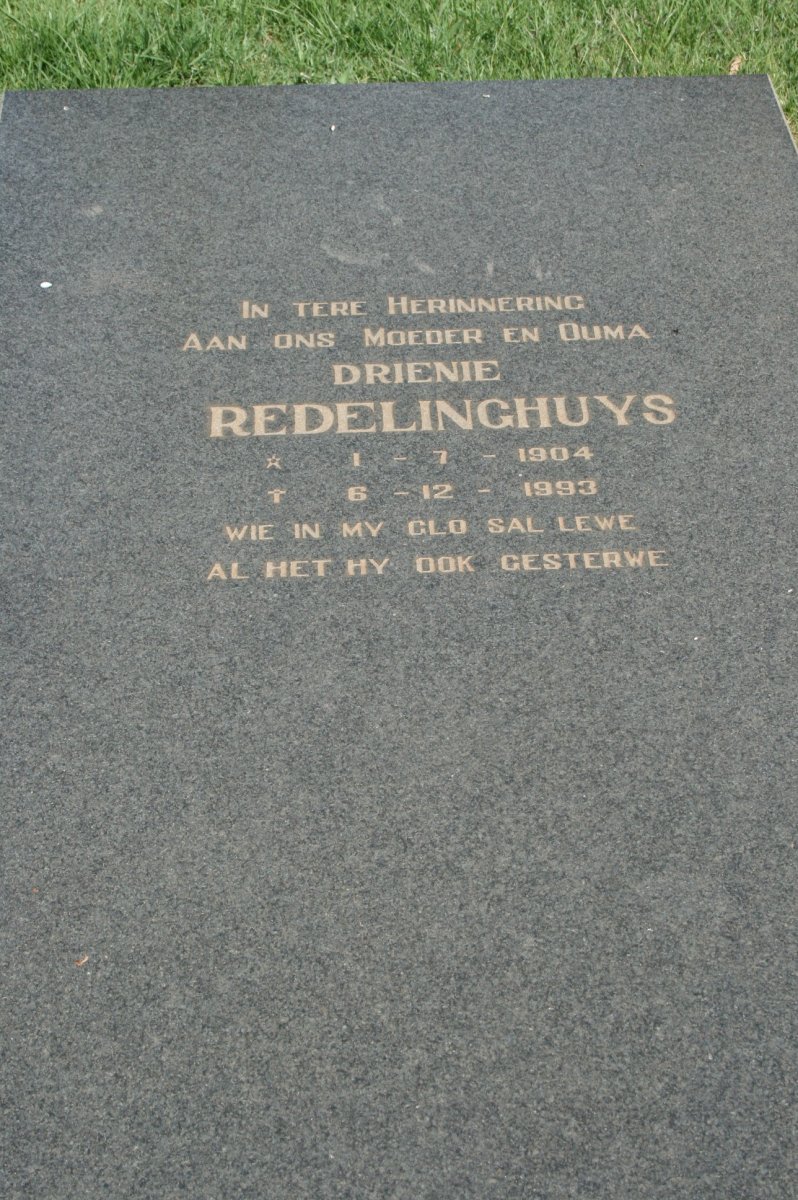 REDELINGHUYS Drienie 1904-1993