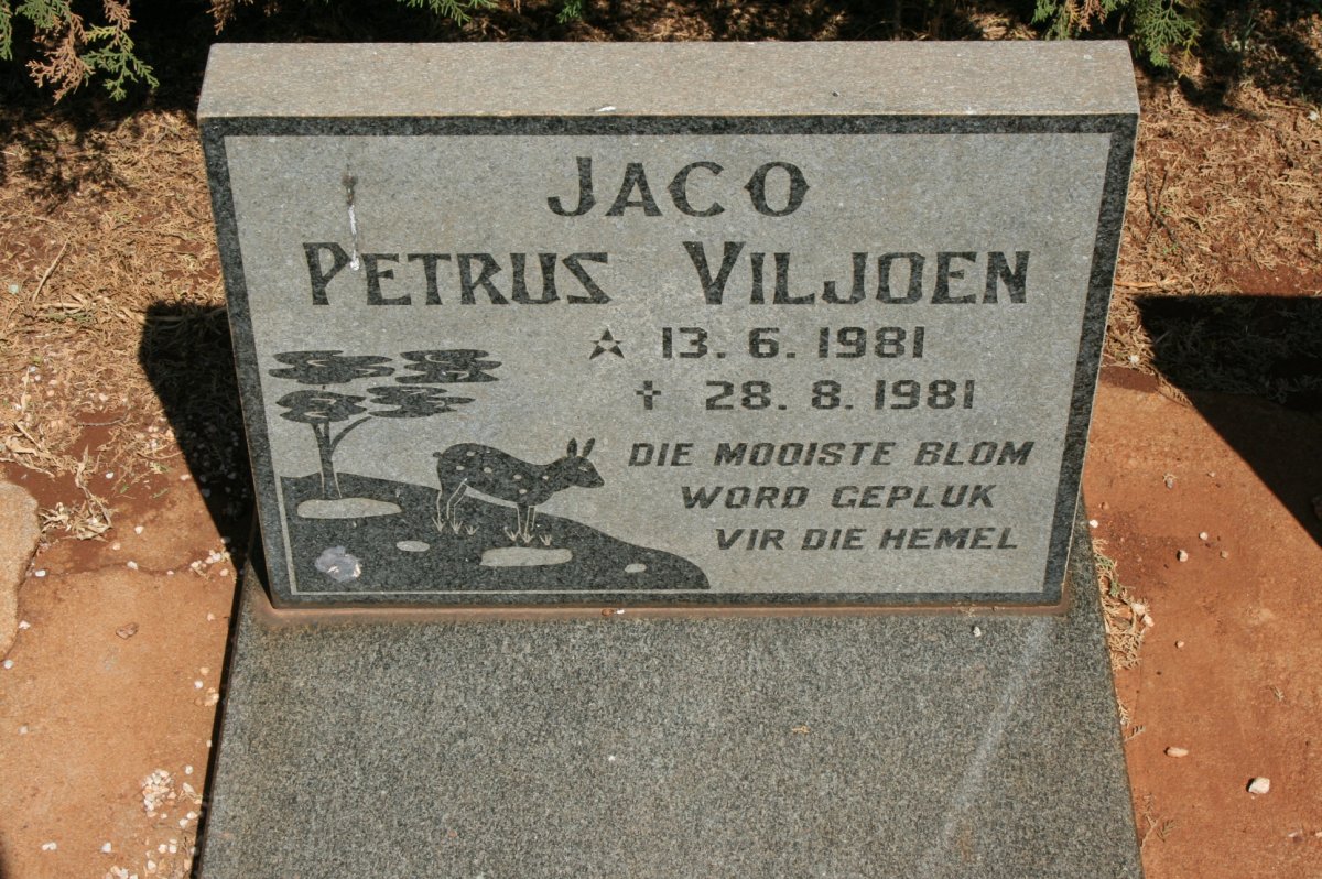 VILJOEN Jaco Petrus 1981-1981