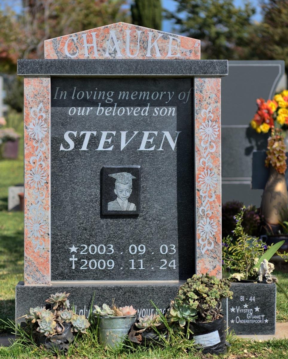 CHAUKE Steven 2003-2009