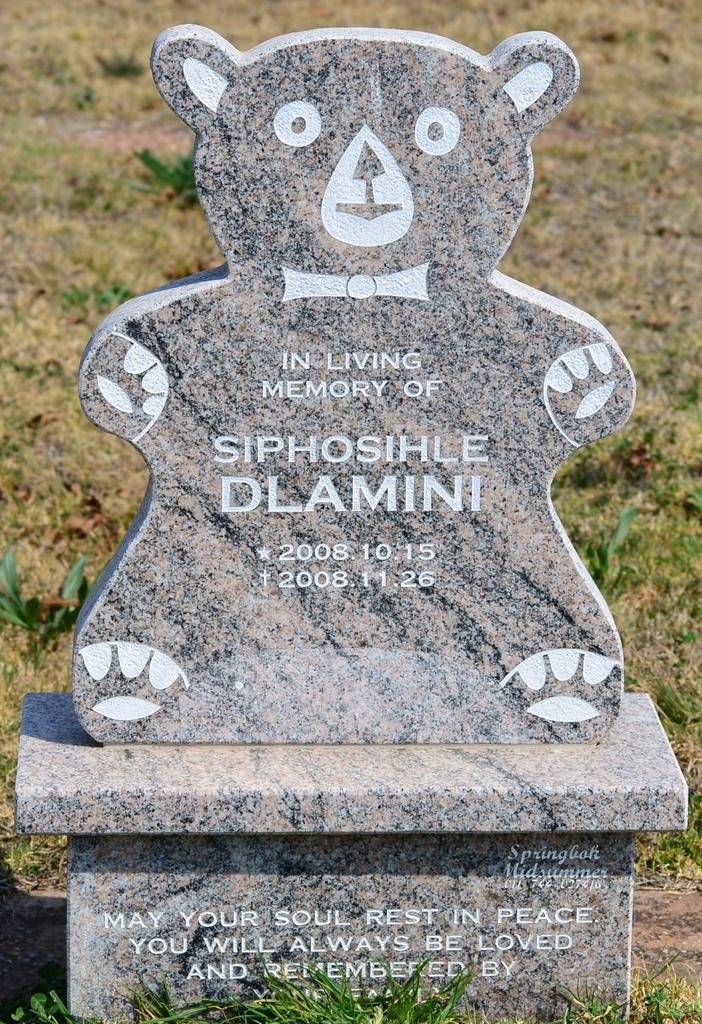 DLAMINI Siphosihle 2008-2008