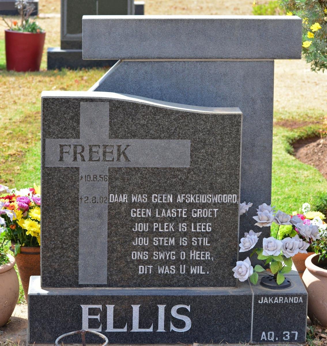 ELLIS Freek 1956-2002