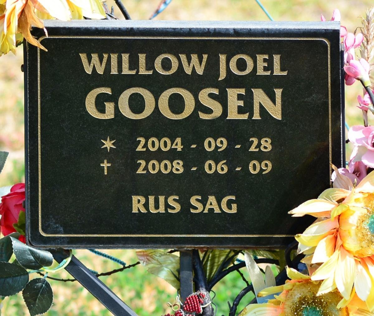 GOOSEN Willow Joel 2004-2008