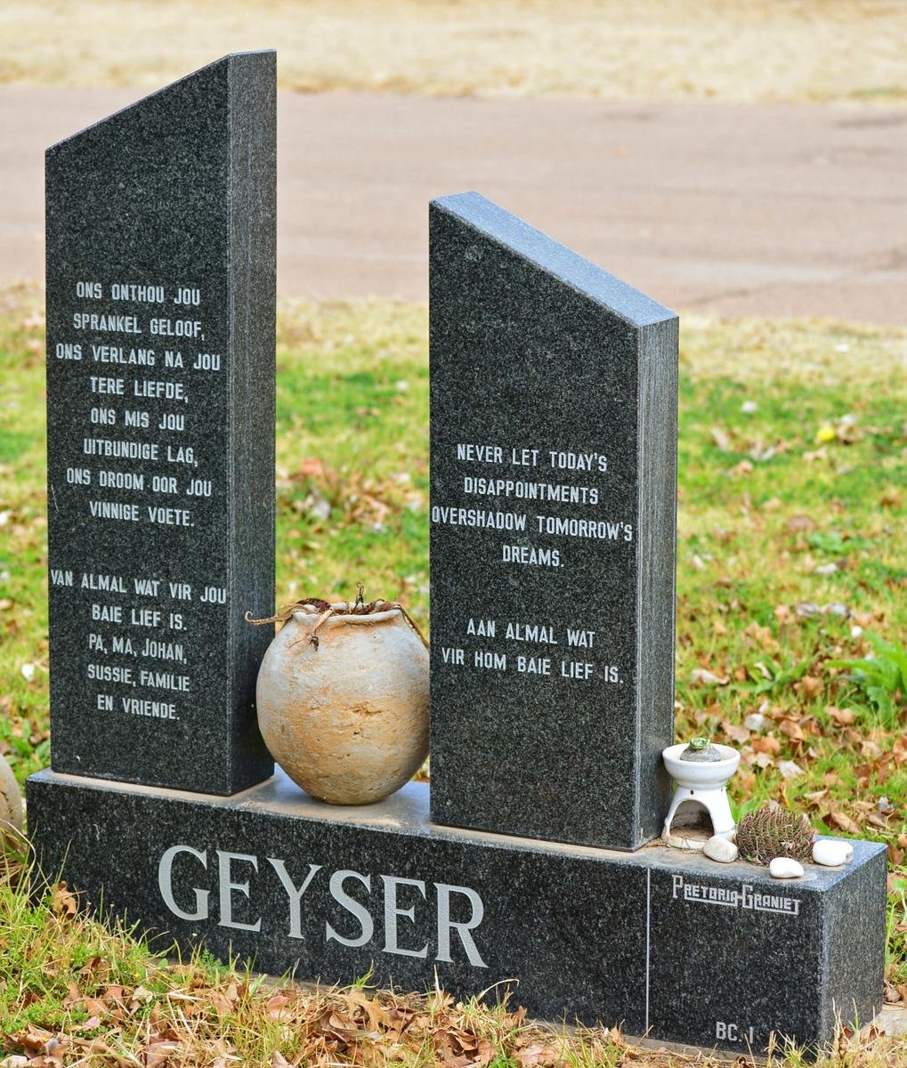 GEYSER -2004