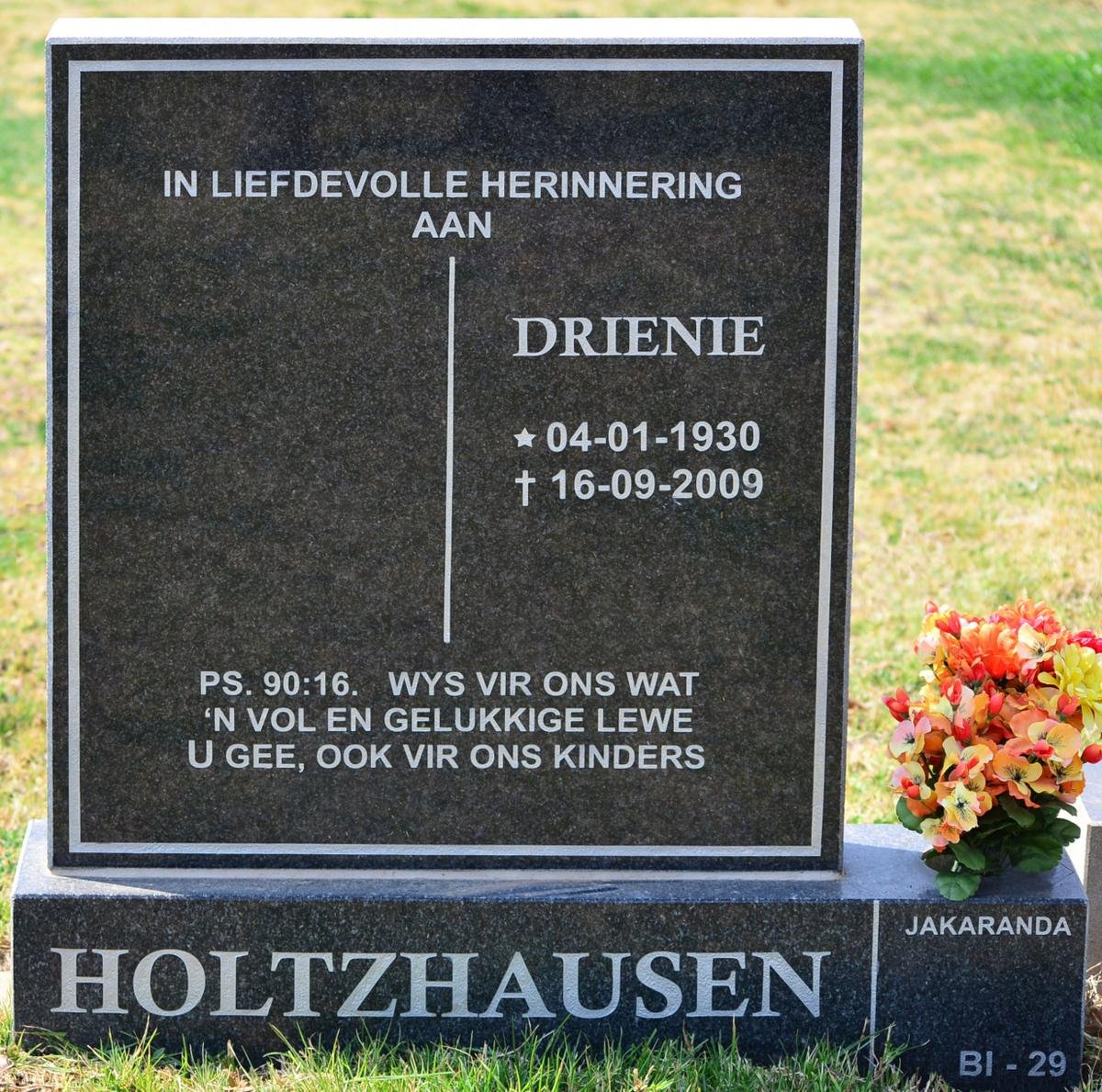 HOLTZHAUSEN Drienie 1930-2009