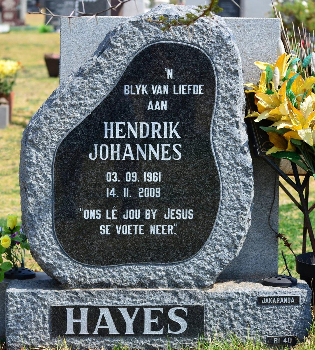 HAYES Hendrik Johannes 1961-2009