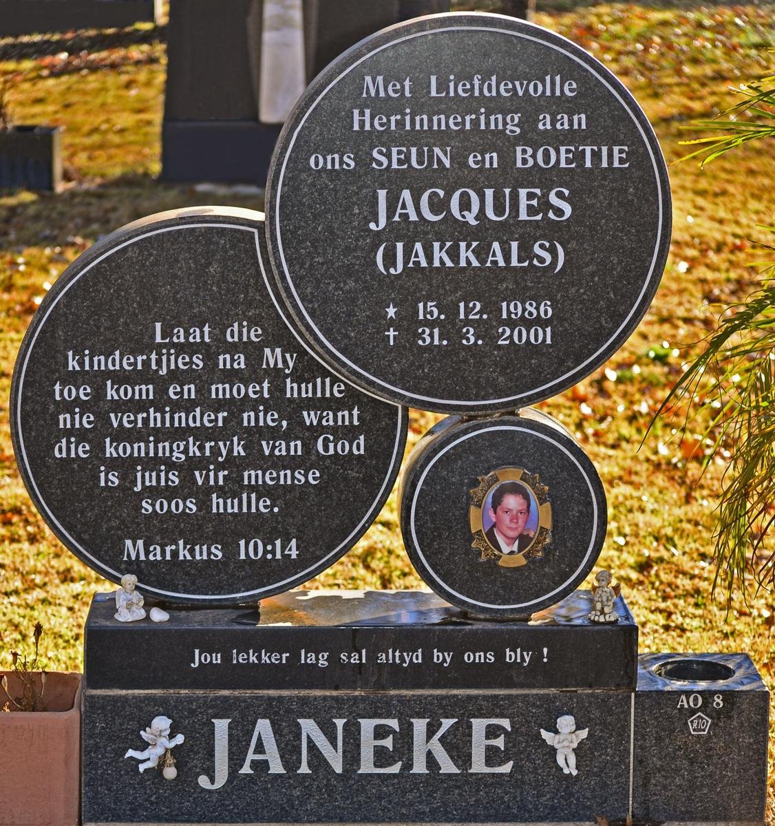JANEKE Jacques 1986-2001