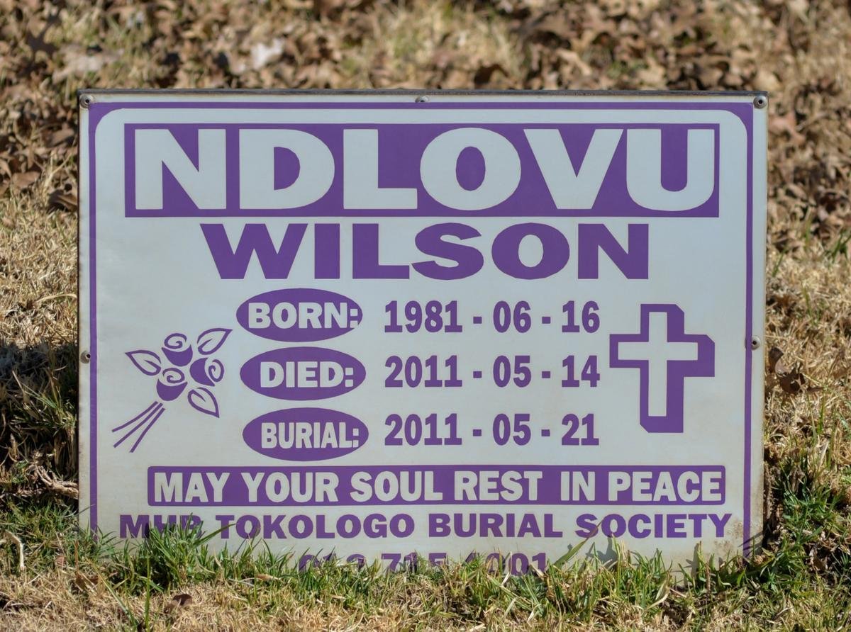 NDLOVU Wilson 1981-2011