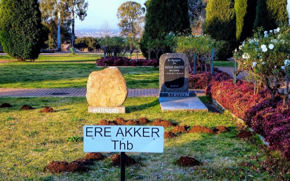 1. Overview - Ere Akker, Olievenhoutbosch 