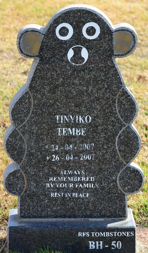 TEMBE Tinyiko 2007-2007