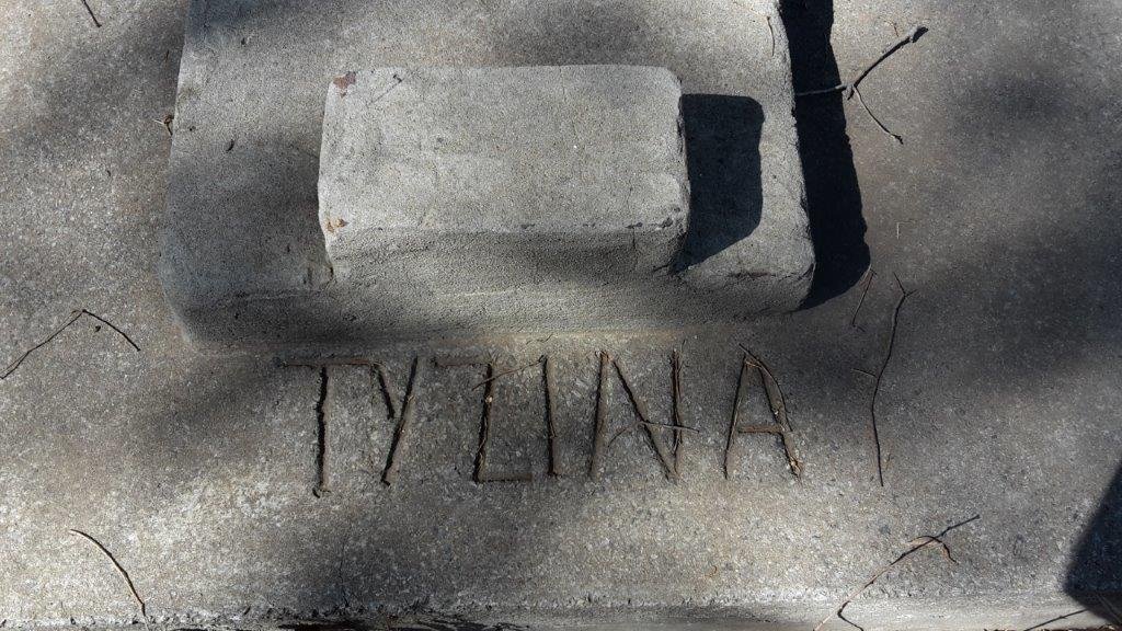 ? Tyzina