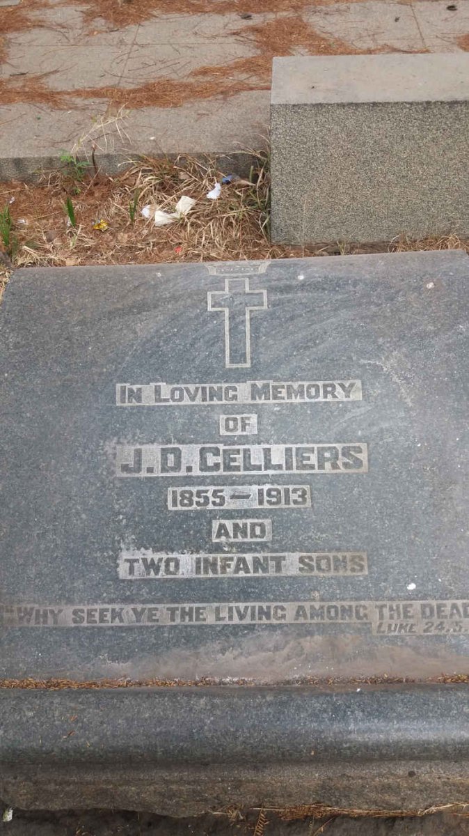 CELLIERS J.D. 1855-1913 :: CELLIERS ? :: CELLIERS ?