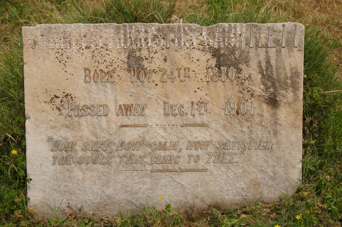 GAUNTLETT Charles Augustus 1870-1901
