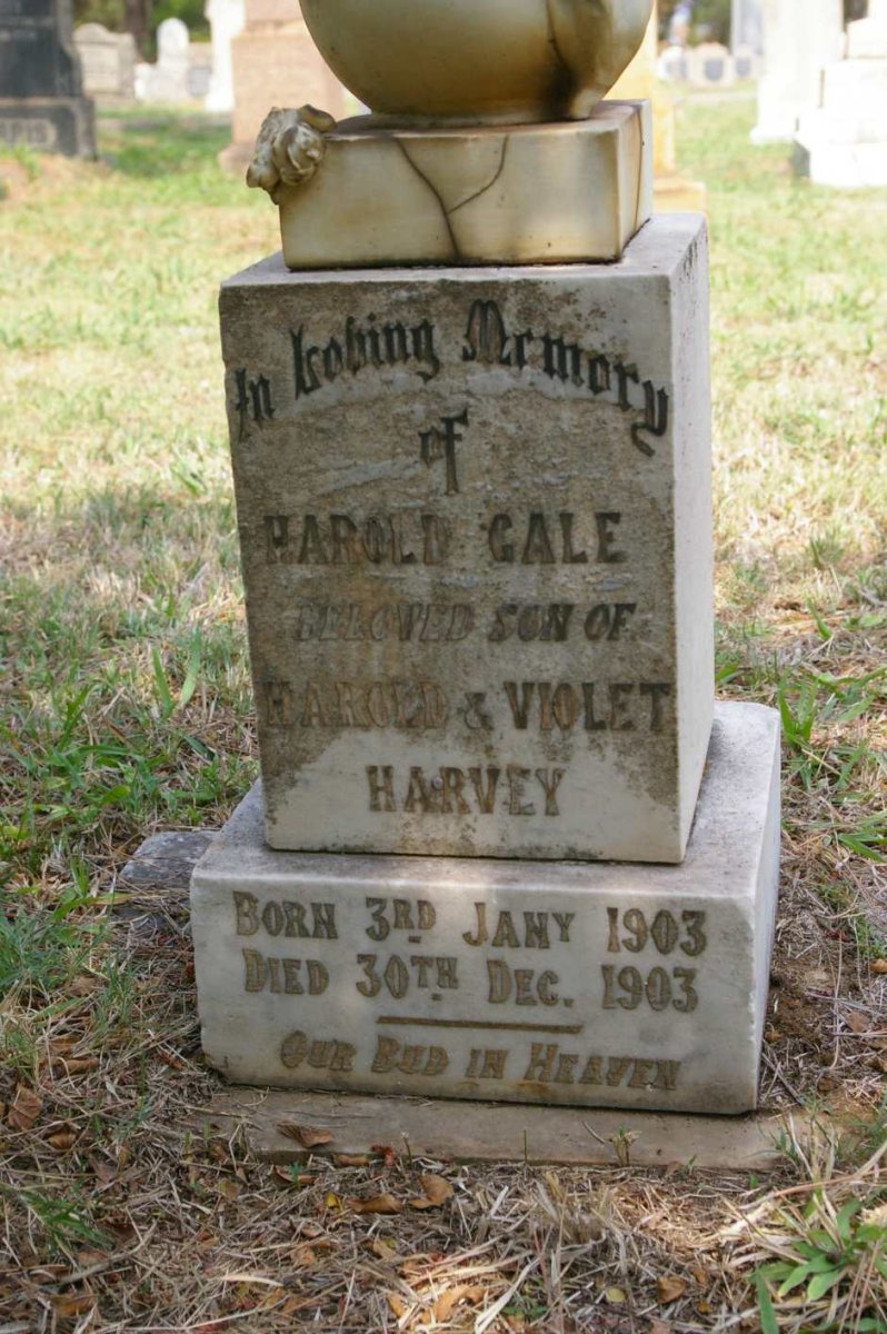 HARVEY Harold Gale 1903-1903