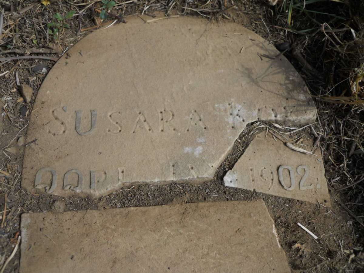 KO? Susara -1902