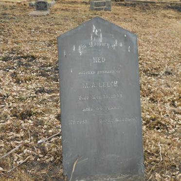 LEECH Ned -1908