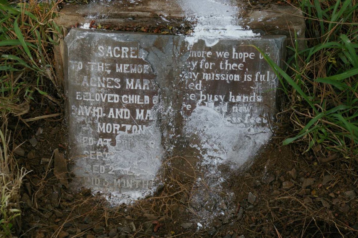 MORTON Agnes Mary