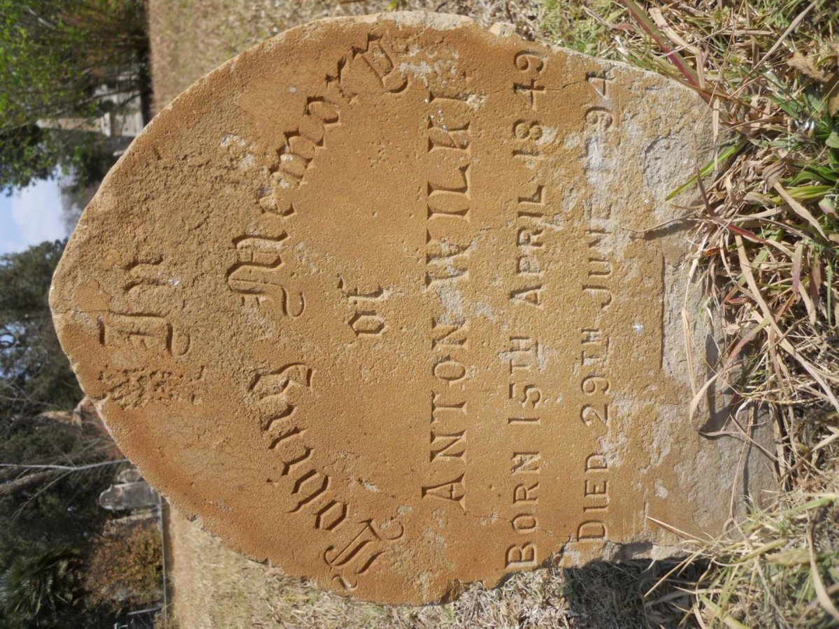 WILKI Anton 1849-1894