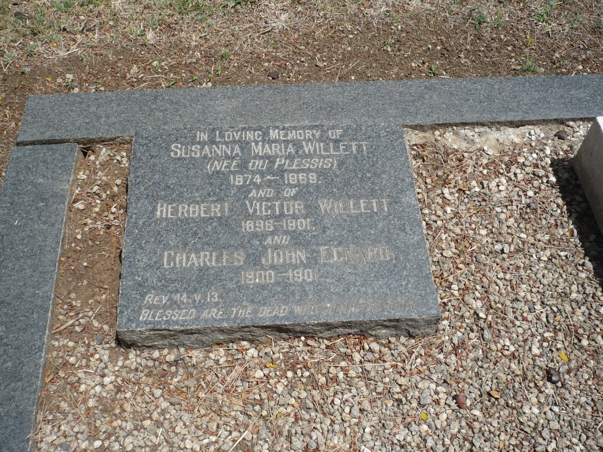 WILLETT