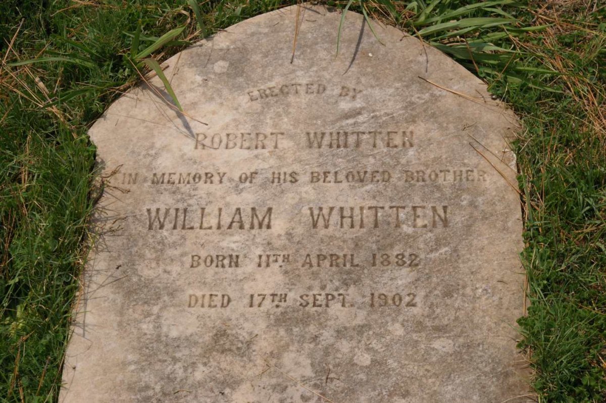 WHITTEN William 1882-1902