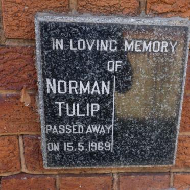 TULIP Norman -1969