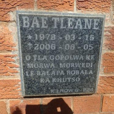 TLEANE Bae 1978-2006