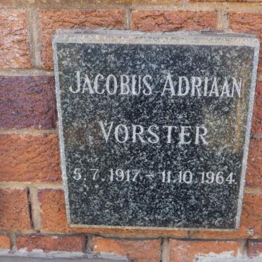 VORSTER Jacobus Adriaan 1917-1964