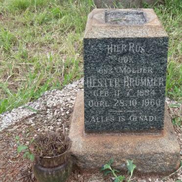 BRUMMER Hester 1884-1960