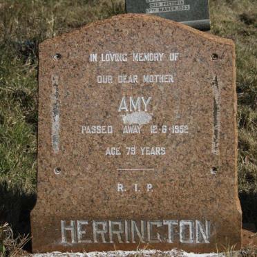 HERRINGTON Amy -1952