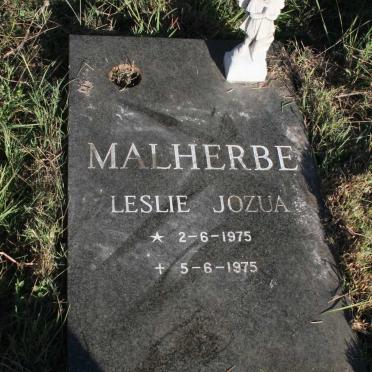 MALHERBE Leslie Jozua 1975-1975
