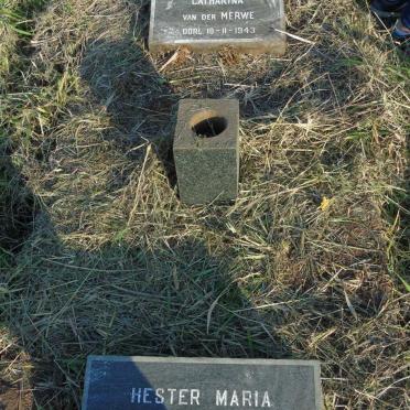 MERWE Ella Johanna Catharina, van der -1943 :: MERWE Hester Maria, van der -1971