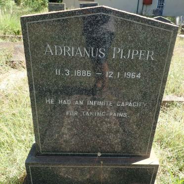 PIJPER Adrianus 1886-1964 