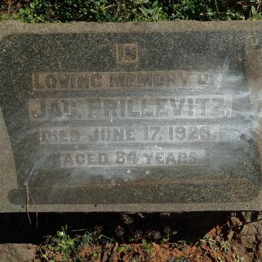 PRILLEVITZ Jac -1923