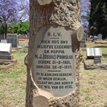 PRINSLOO M.J. 1901-1937