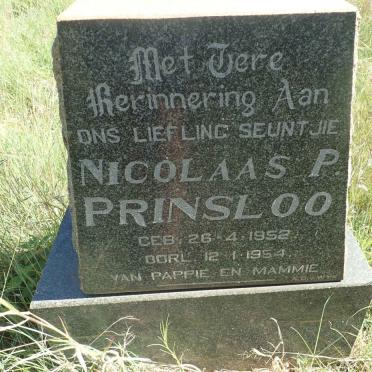PRINSLOO Nicolaas P. 1952-1954