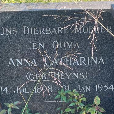 STEYN Petrus Paulus Albertus 1892-1954 &amp; Anna Catharina nee HEYNS 1898-1954