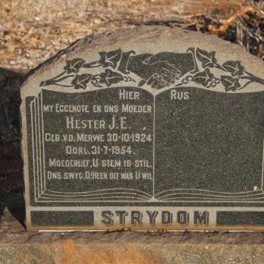 STRYDOM Hester J.E. nee V.D. MERWE 1924-1954
