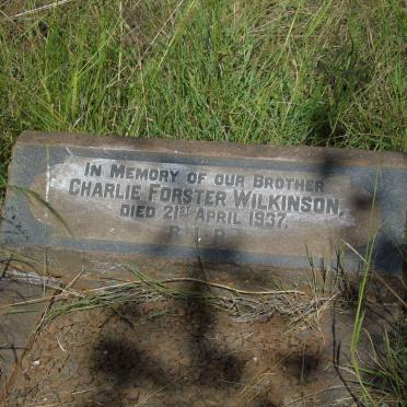 WILKENSON Charlie Forster -1937