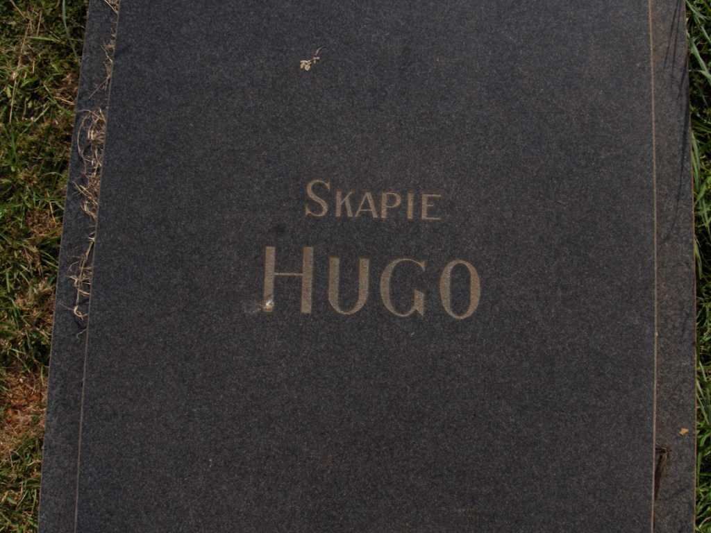 HUGO Skapie