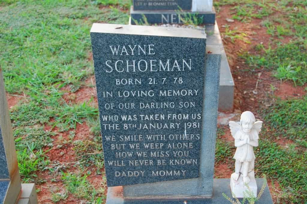 SCHOEMAN Wayne 1978-1981
