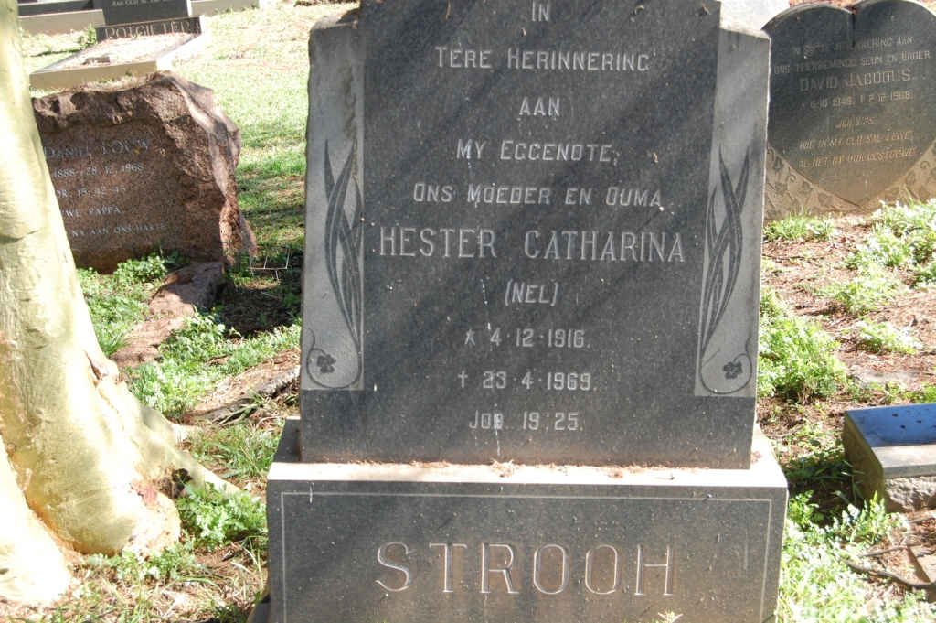 STROOH Hester Catharina nee NEL 1916-1969