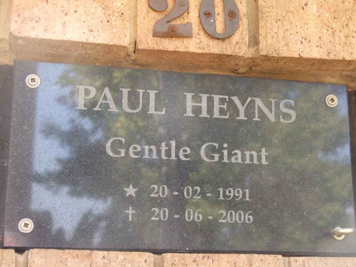 HEYNS Paul 1991-2006