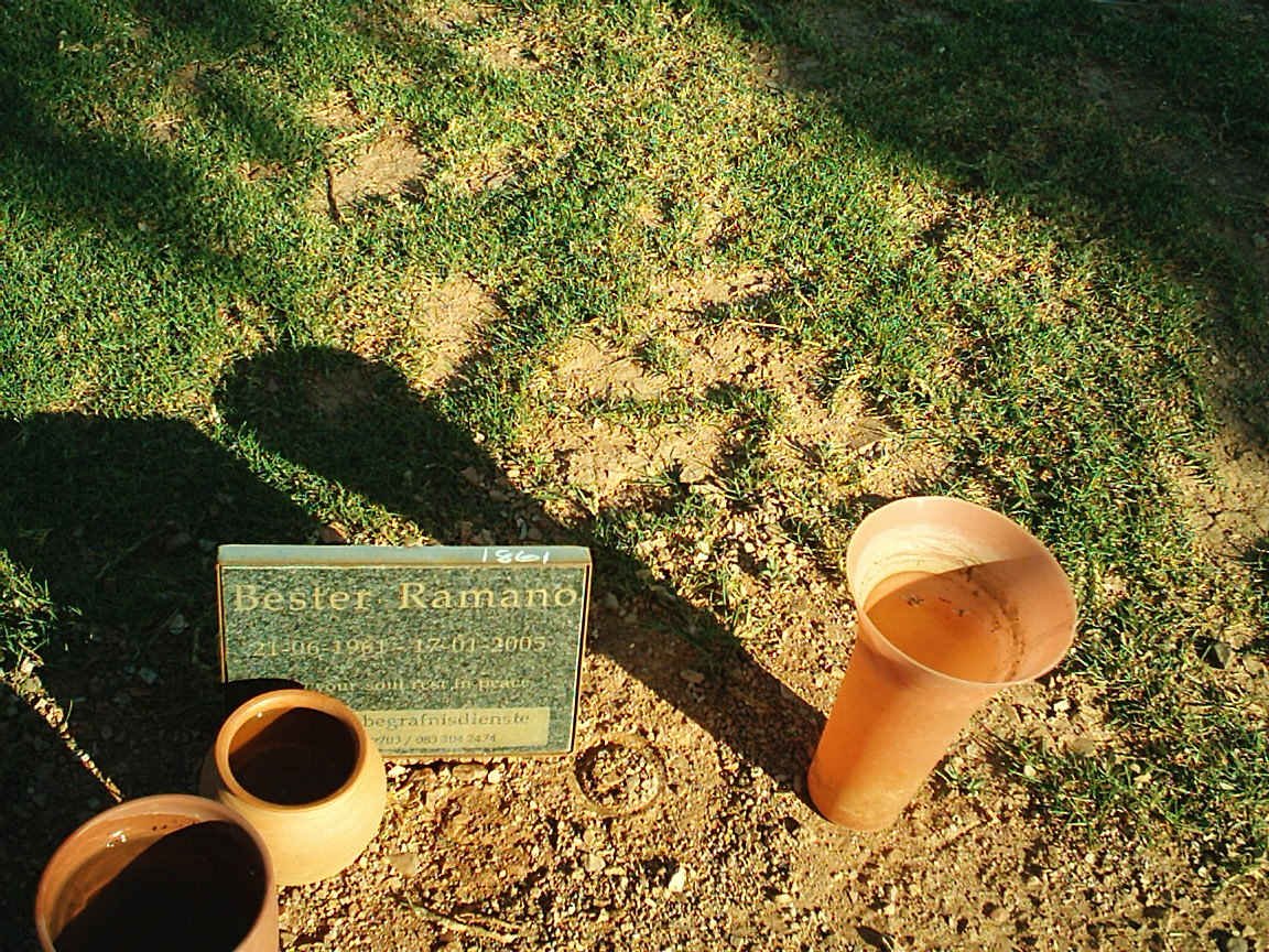 RAMANO Bester 1961-2005