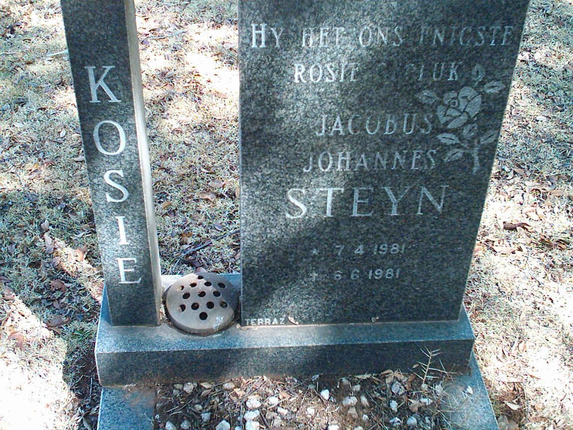 STEYN Jacobus Johannes 1981-1981