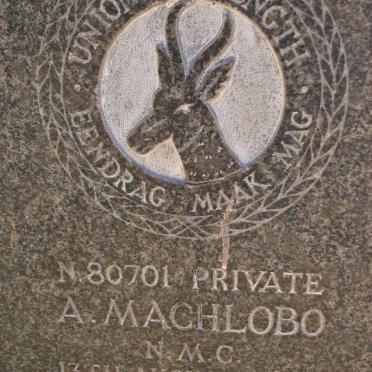 MACHLOBO A. -1944