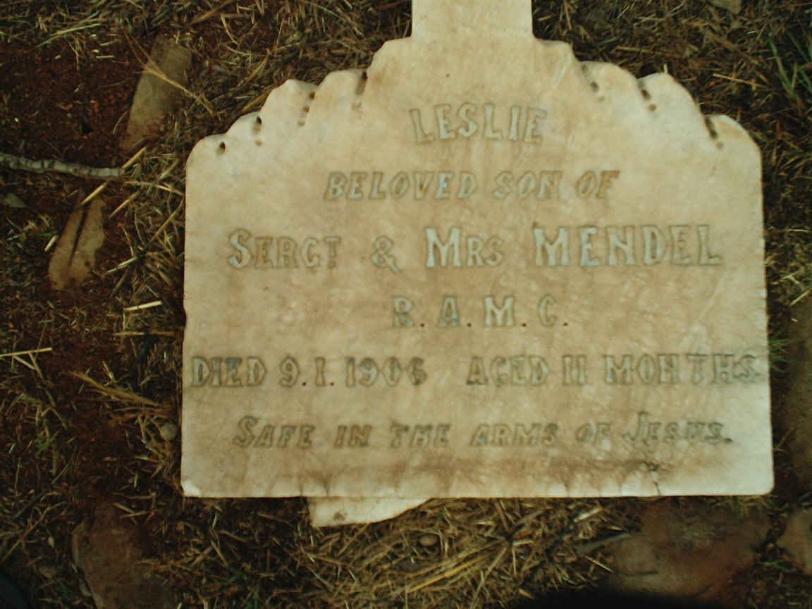 MENDEL Leslie -1906