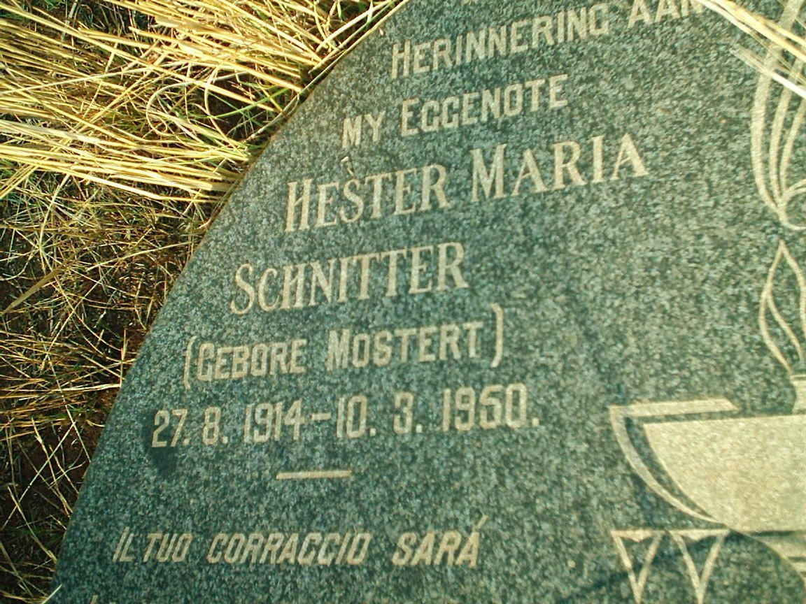 SCHNITTER Hester Maria nee MOSTERT 1914-1950