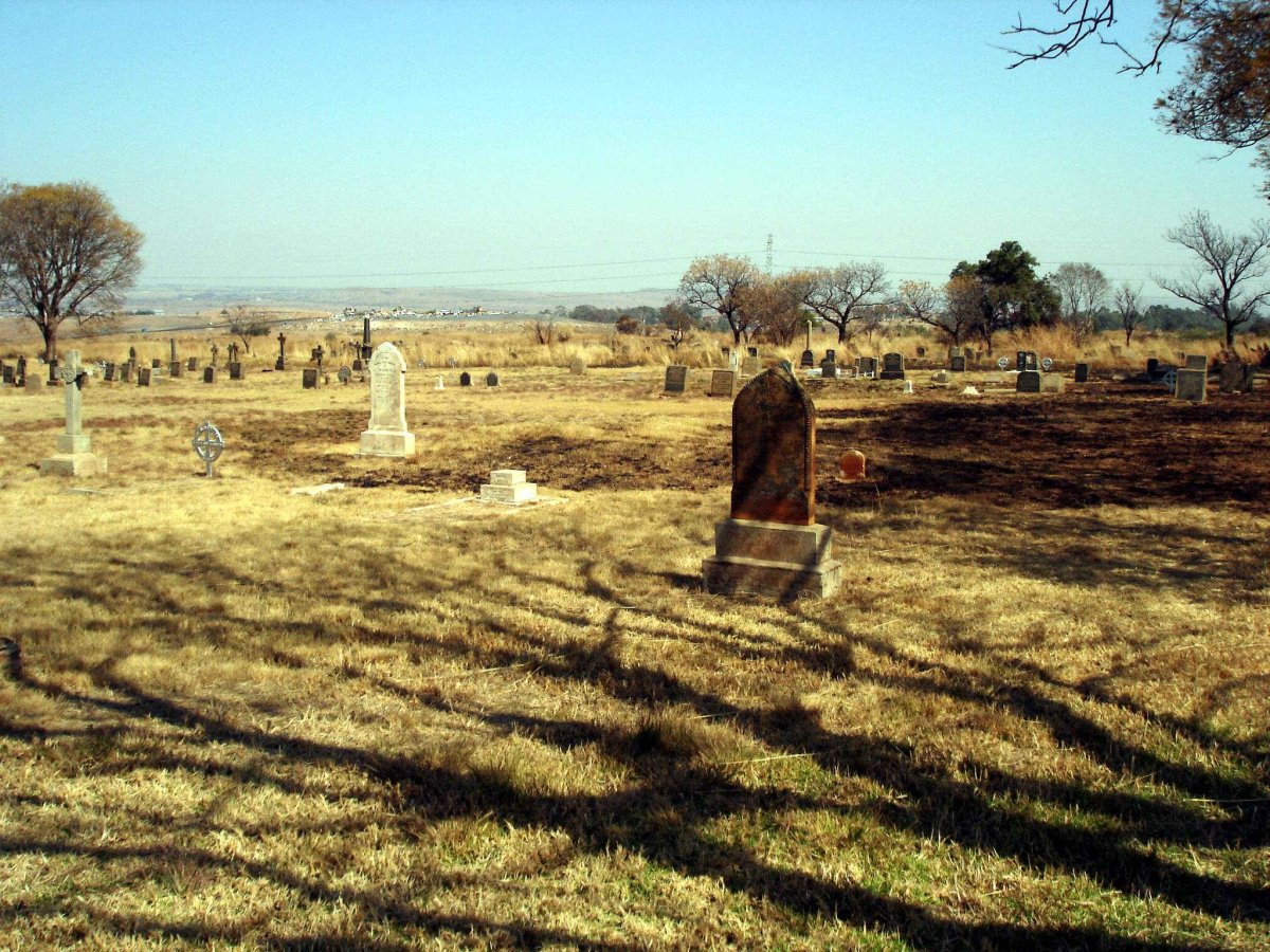 06. Overview