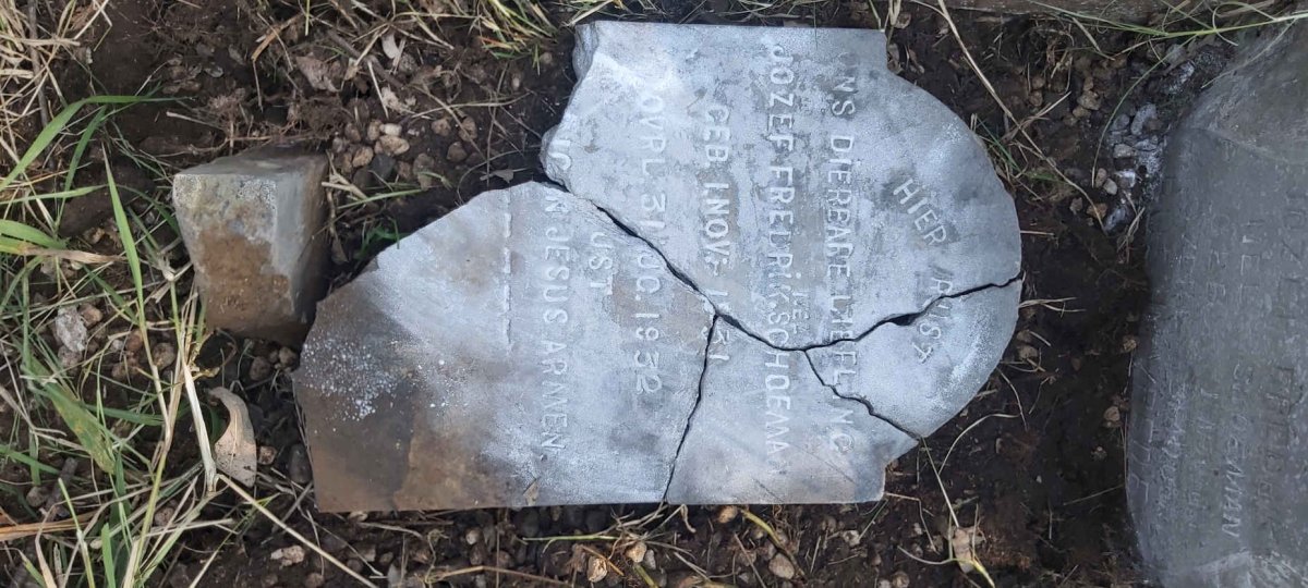 SCHOEMAN Jozef Fredrik Nel 1931-1932 :: SCHOEMAN Jozef Fredrik Nel
