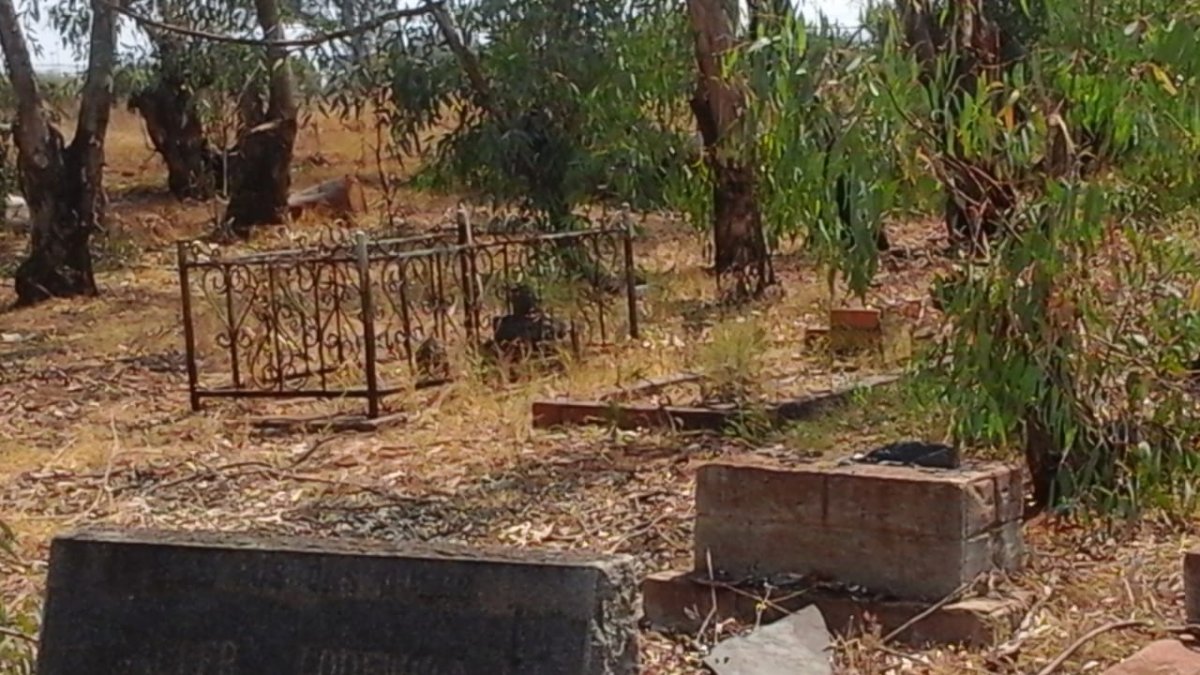 3. Overview