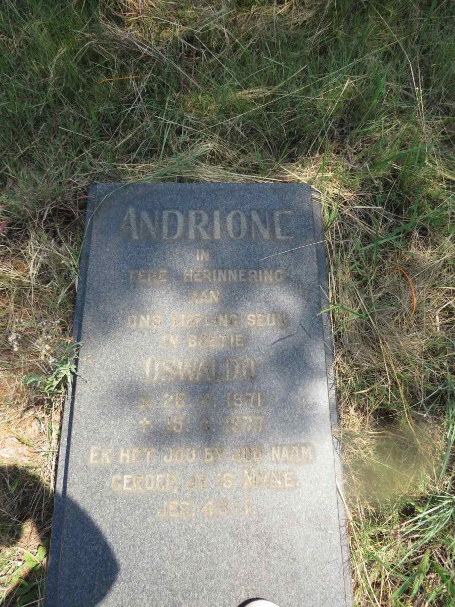 ANDRIONE Oswaldo 1971-1977